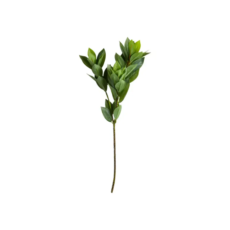 Laurbær stilk 82cm