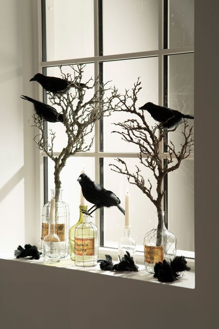 Hovedbilde Korp Svart 