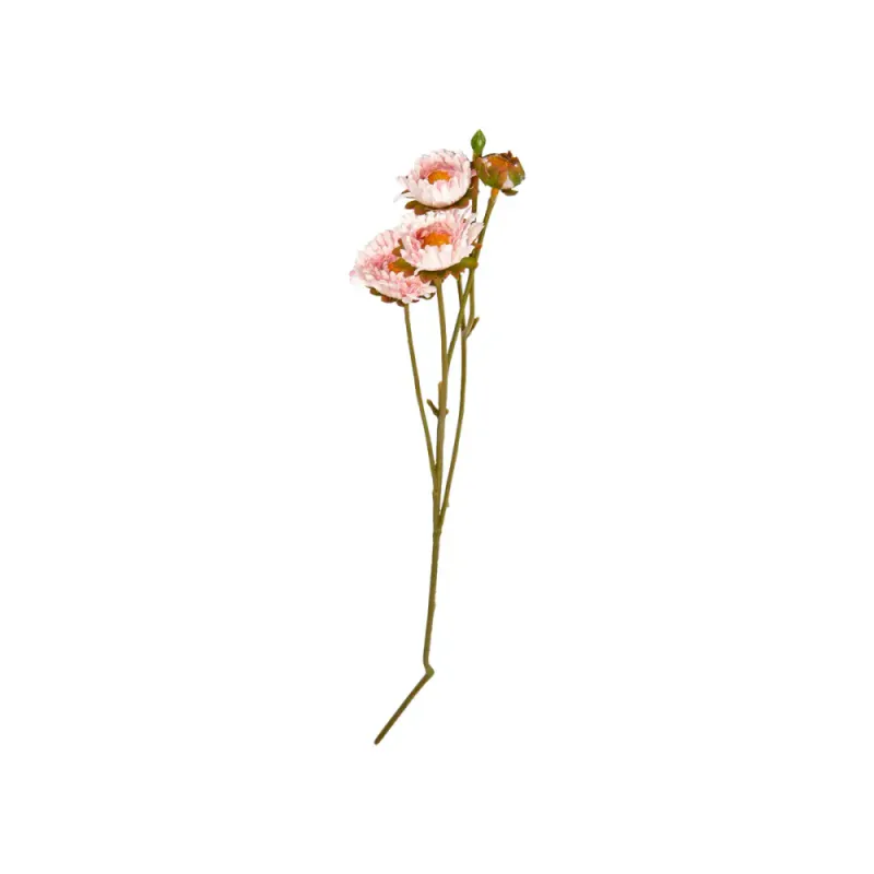 Aster på stilk 
