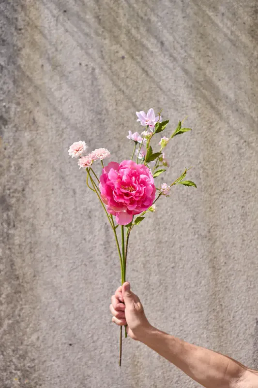 Krysantemum m/5 knopper 